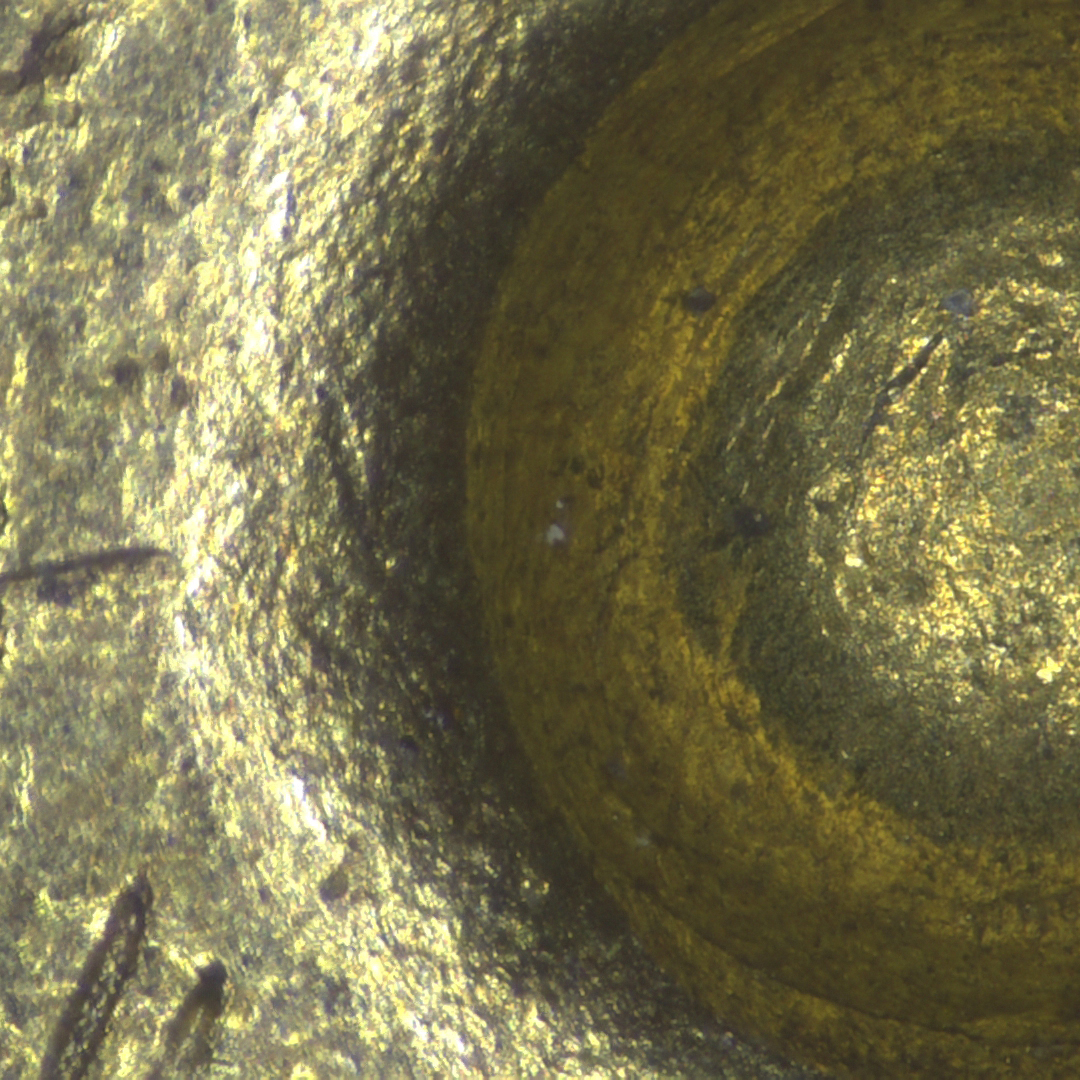 彈殼痕跡 EDF - 體視 4.5X