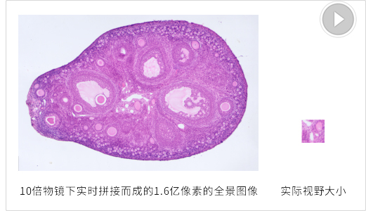 1100acc1c245314c91d23a7f46a504ba_444(1)