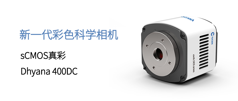 985fc3d6df8f5819425cc8c5f1e9c284_400DC(1)