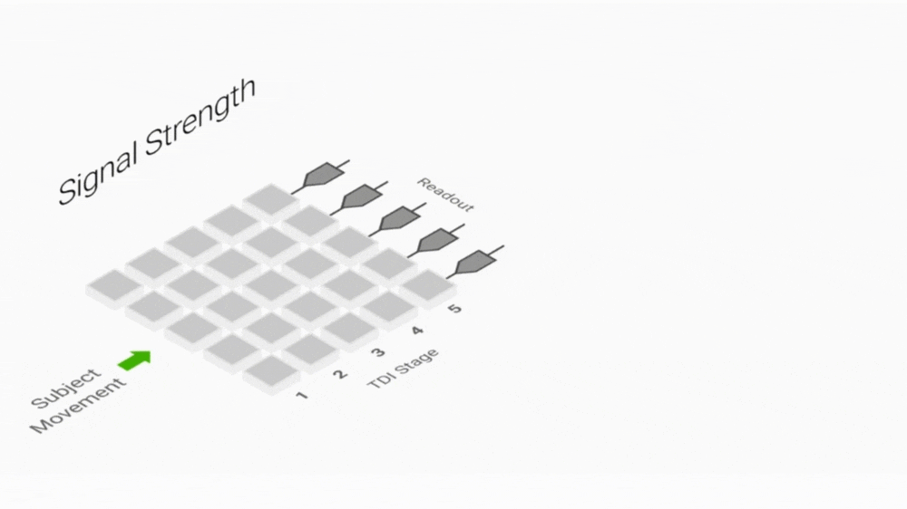  TDI圖像采集動畫示例，樣本移動與電荷累積的同步。